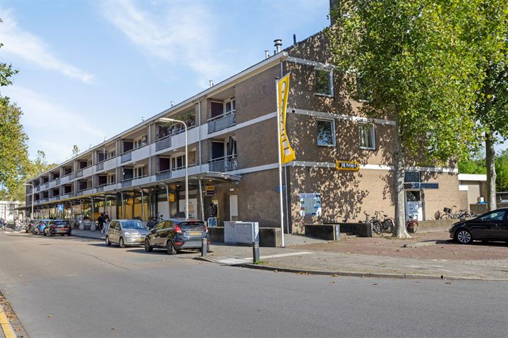 Bekijk foto 31 van Ganzenstraat 66