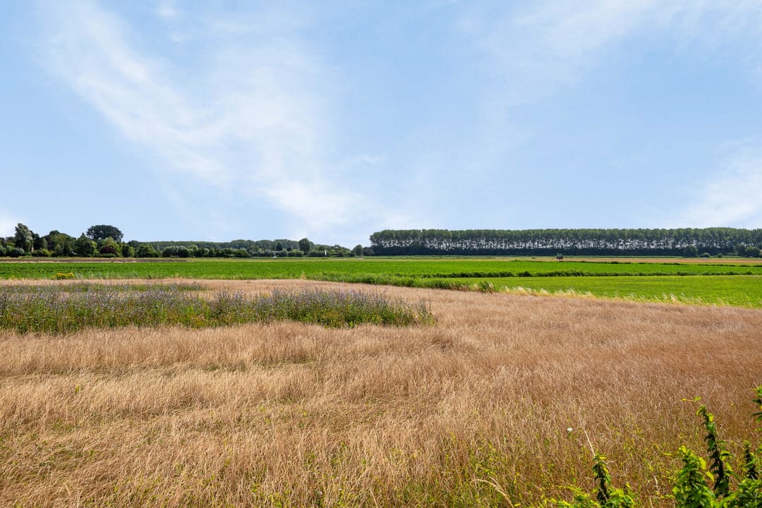 Foto 56 van Pastoor Ermenstraat 53