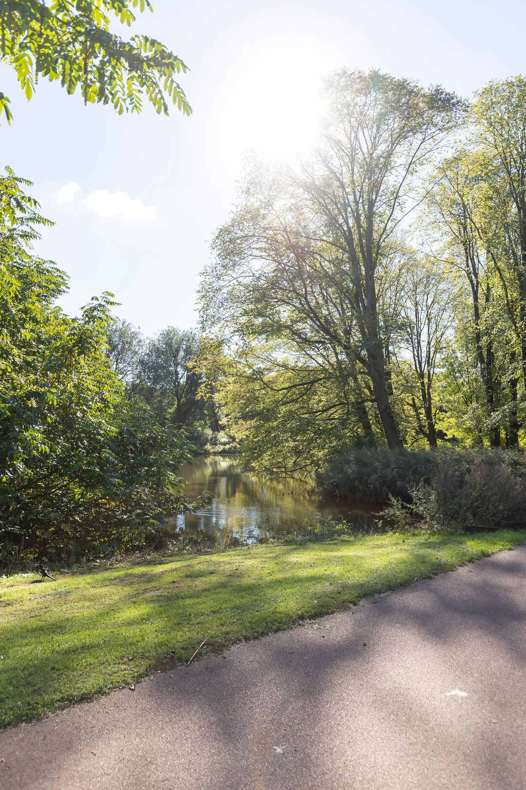 Foto 22 van Van Spilbergenstraat 68-H