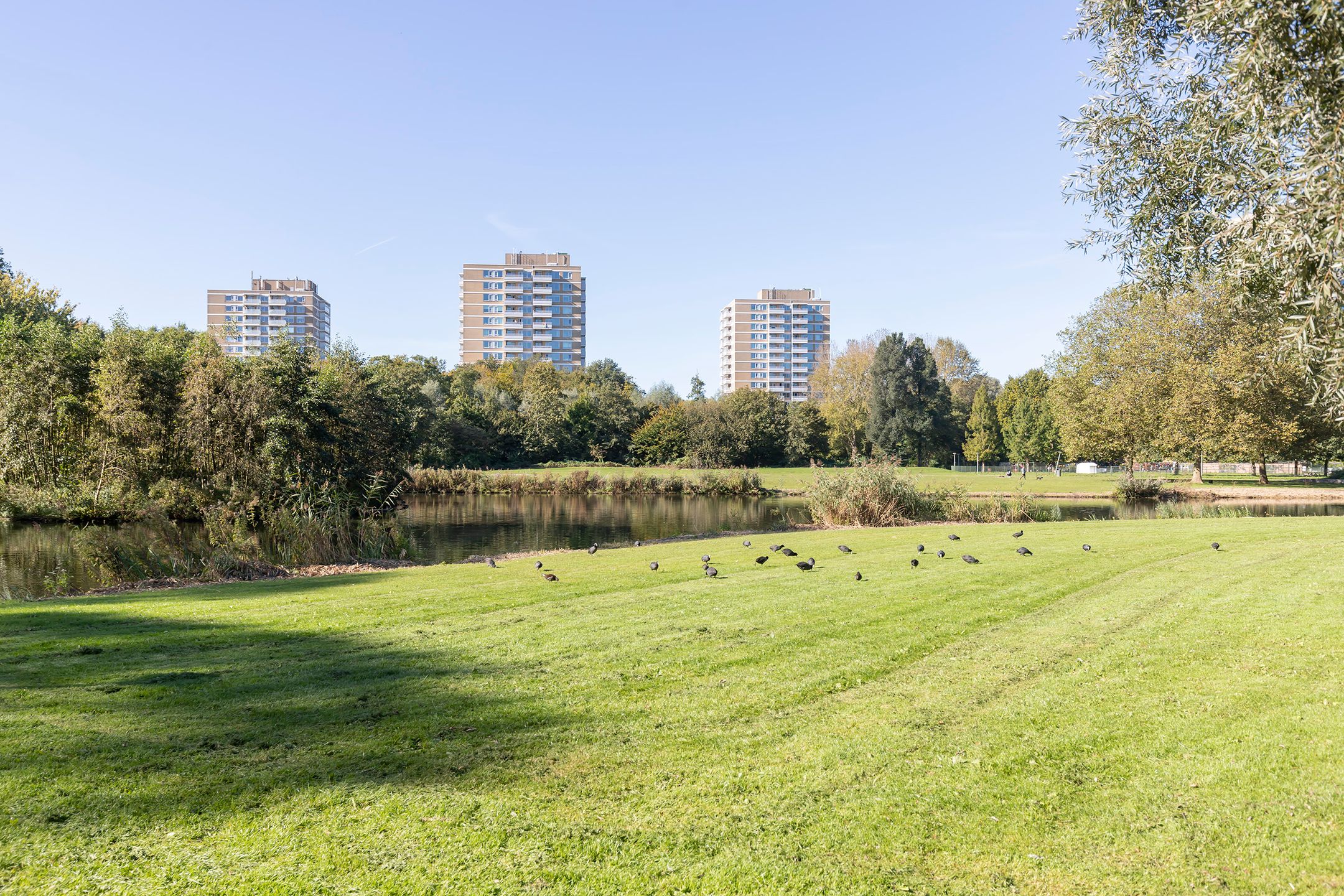 Foto 21 van Van Spilbergenstraat 68-H