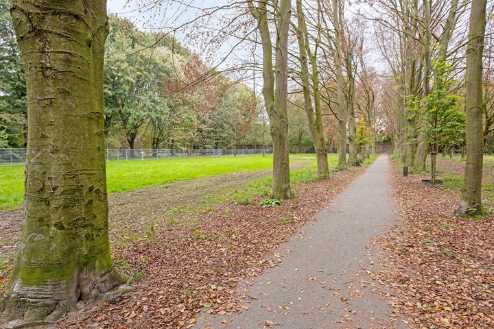 Bekijk foto 49 van Nieuwstraat 41