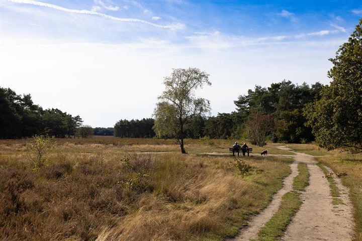 Bekijk foto 41 van Aagje Dekenlaan 229