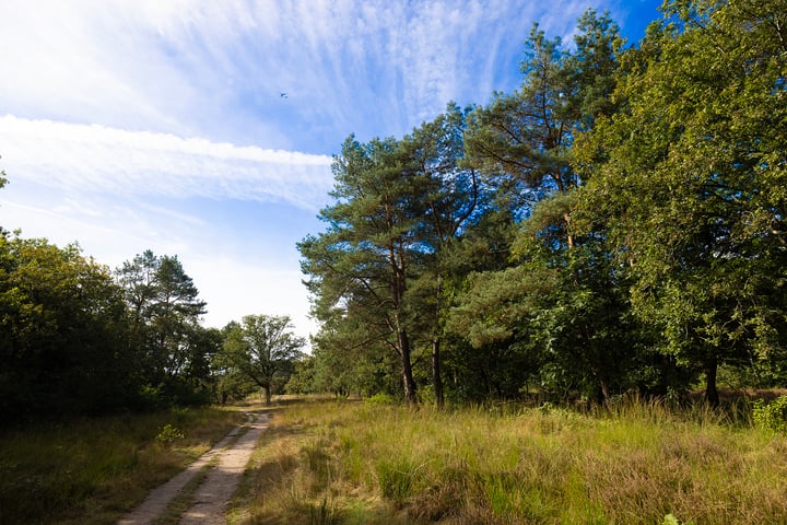 Bekijk foto 42 van Aagje Dekenlaan 229