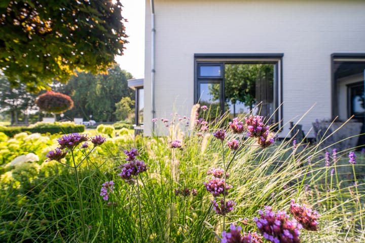 Foto 4 van Staverhul 38