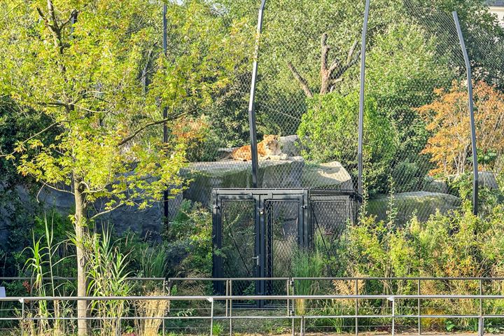 Bekijk foto 33 van Laagte Kadijk 33-B