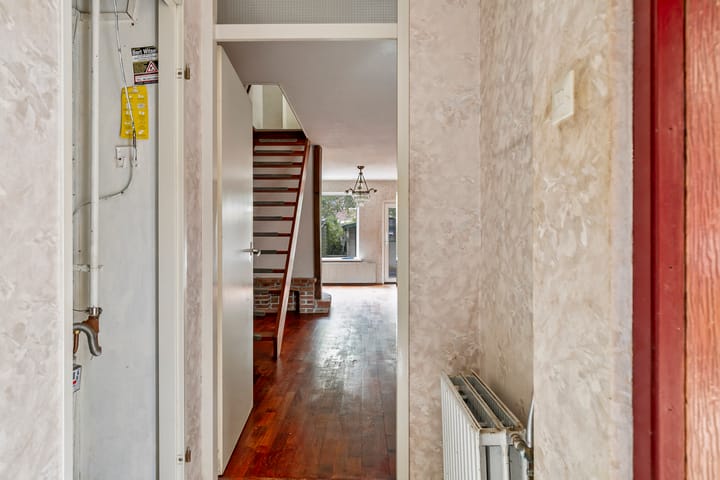 Foto 9 van Hoefblad 86