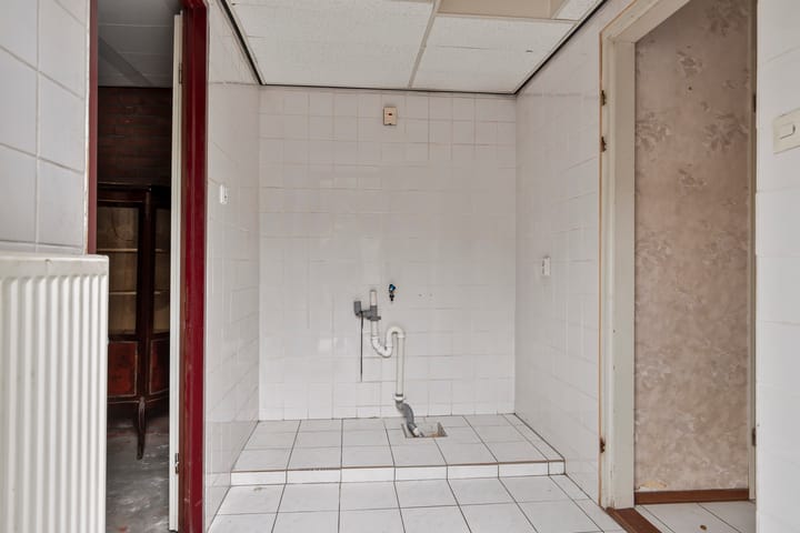 Foto 10 van Hoefblad 86