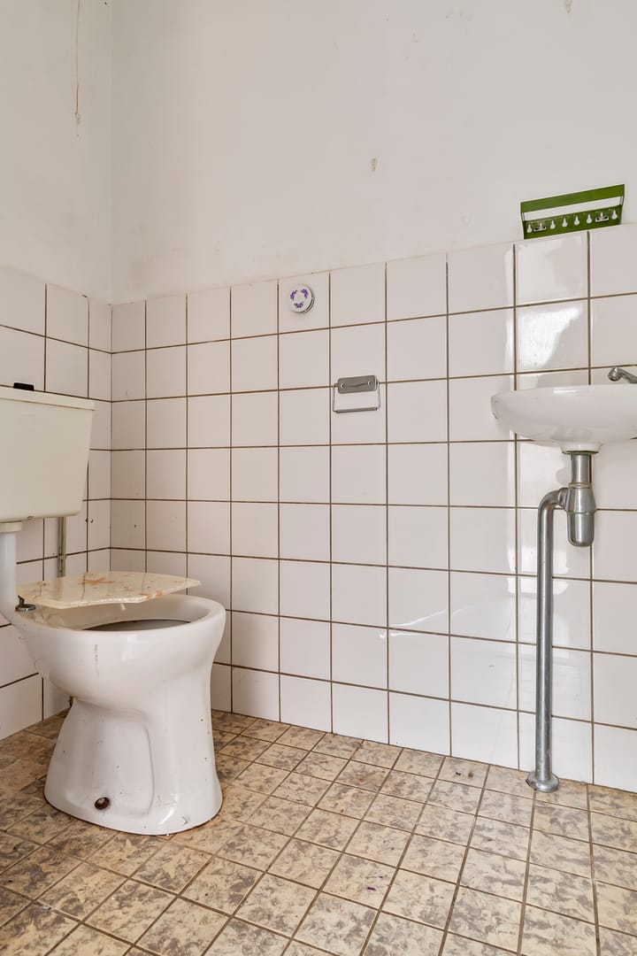 Foto 11 van Hoefblad 86