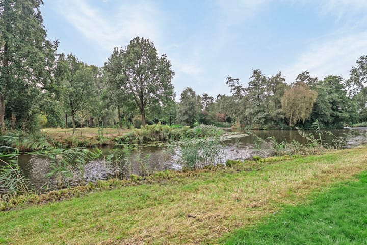 Foto 37 van Hoefblad 86