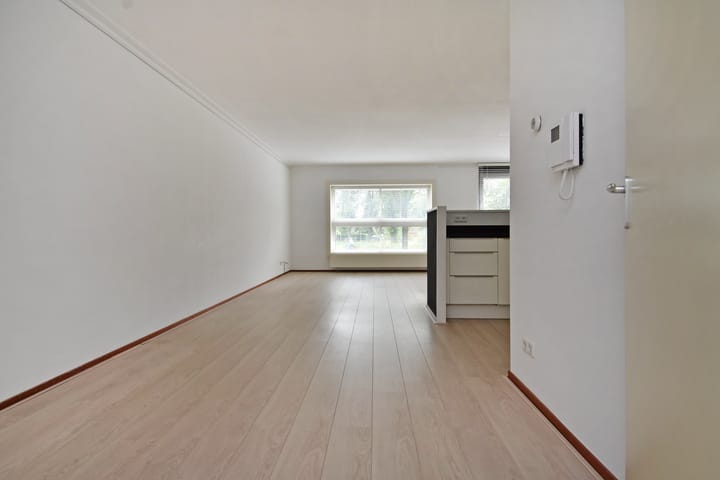 Foto 7 van Cornelis de Wittlaan 160