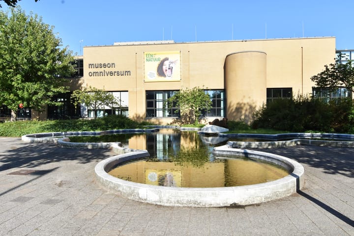 Foto 35 van Cornelis de Wittlaan 160