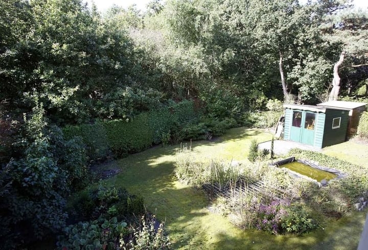 Foto 27 van Ds. P.H. Wolfertstraat 4