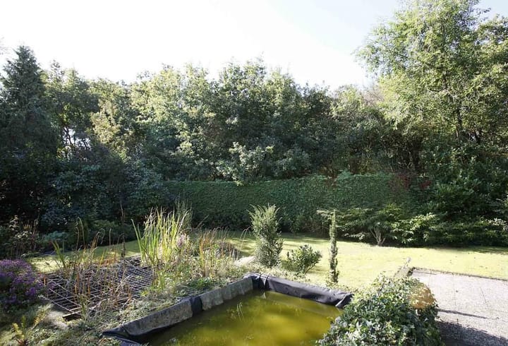 Foto 30 van Ds. P.H. Wolfertstraat 4