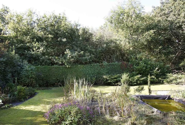 Foto 31 van Ds. P.H. Wolfertstraat 4