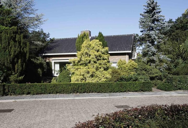 Foto 36 van Ds. P.H. Wolfertstraat 4