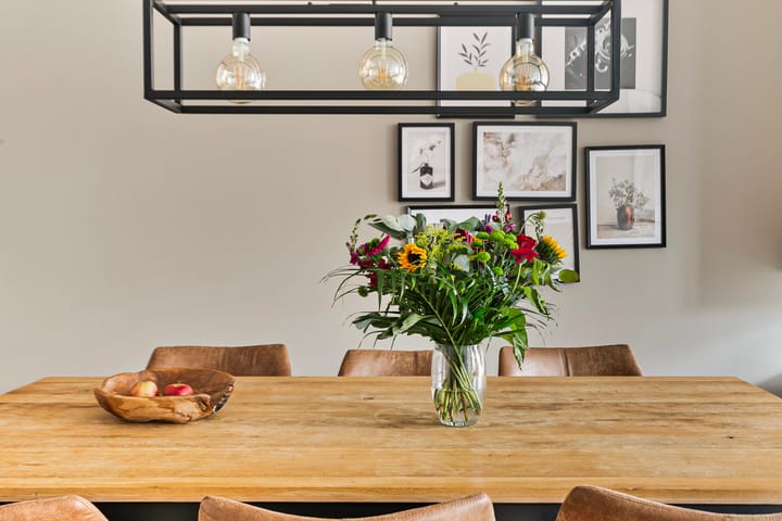 Foto 12 van Oranjebloesem 44