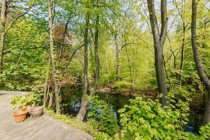 Foto 31 van Oud Blaricumerweg 38