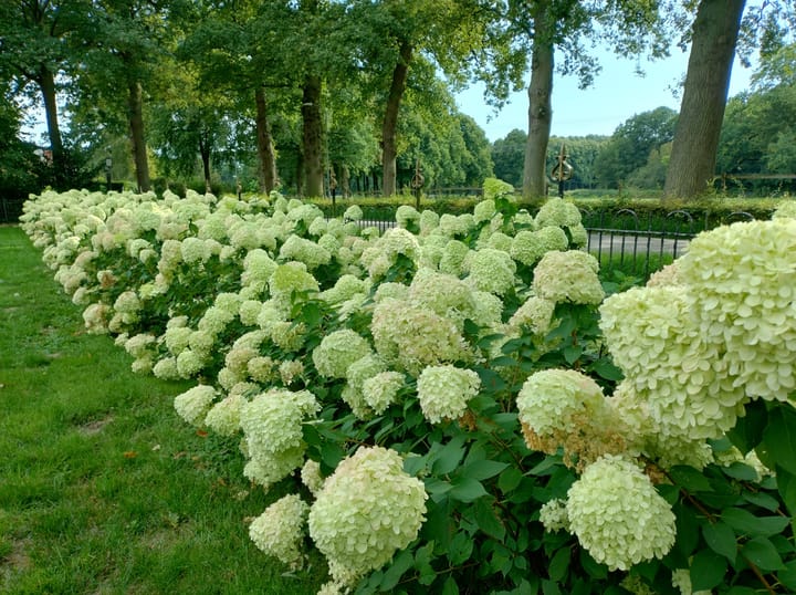 Foto 46 van Eijerdijk 87