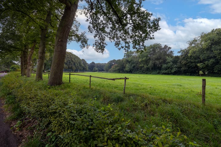 Foto 48 van Eijerdijk 87