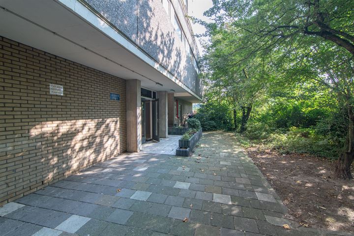 View photo 13 of Johan Willem Frisostraat 59