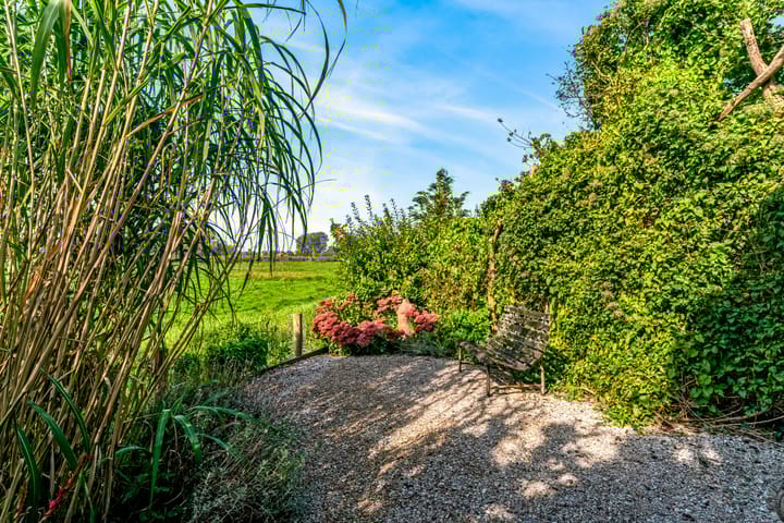 Foto 4 van Liedeweg 81