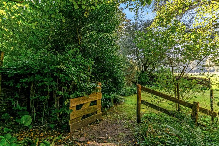 Bekijk foto 35 van Liedeweg 81