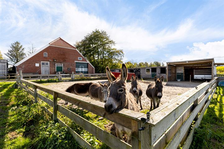 Bekijk foto 47 van Noordercolonie 34