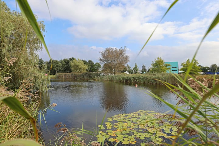 Foto 2 van It Reidlân 9