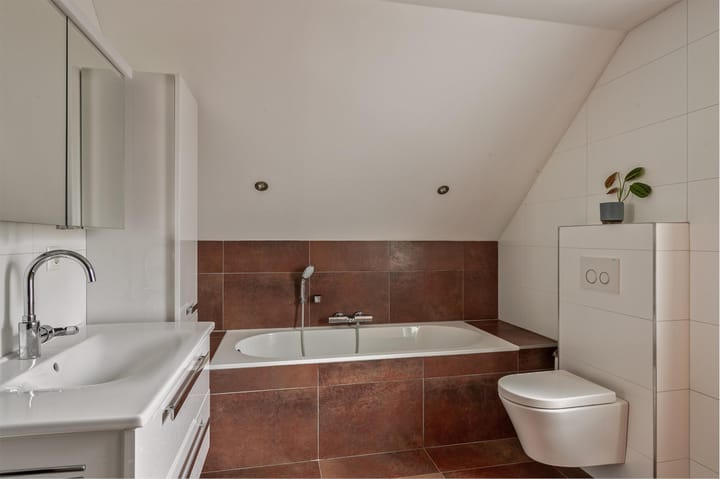 Foto 3 van Guldenekker 45