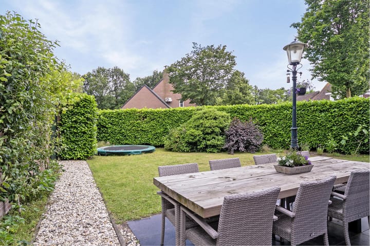 Foto 4 van Guldenekker 45