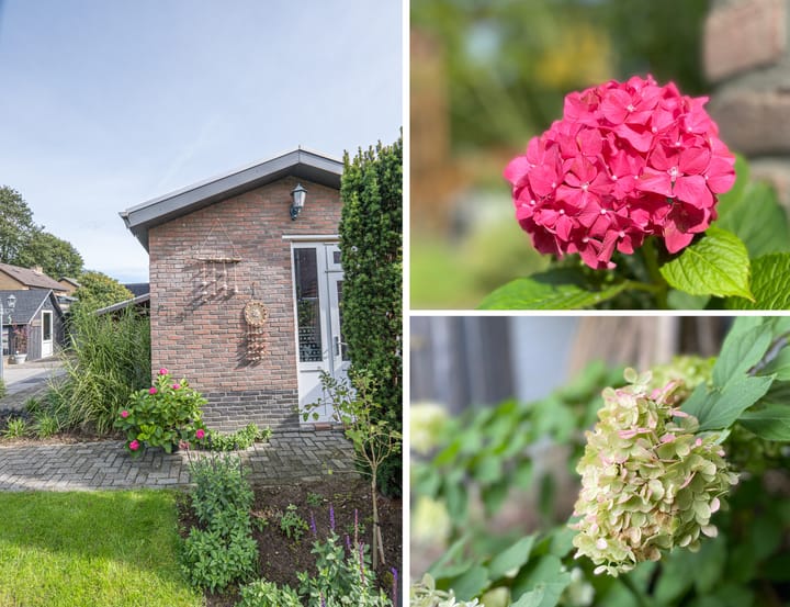 Foto 40 van Hoogstraat 41-B