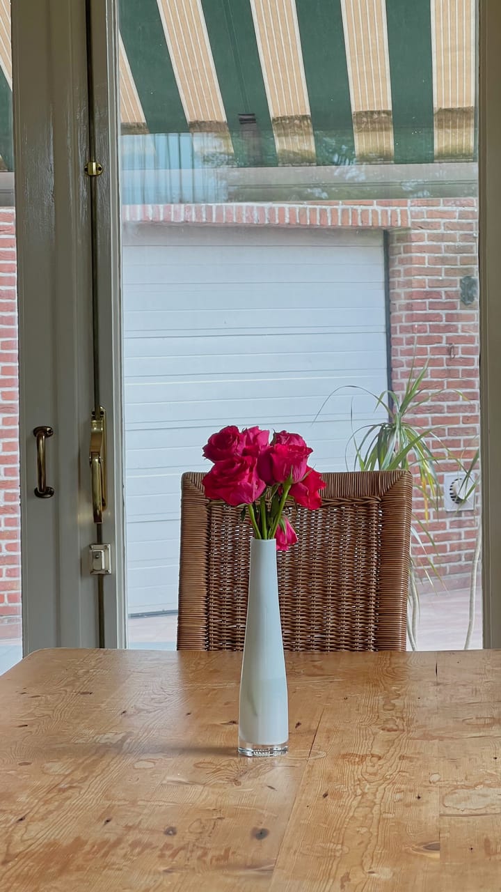 Foto 20 van Willem van Oranjelaan 13