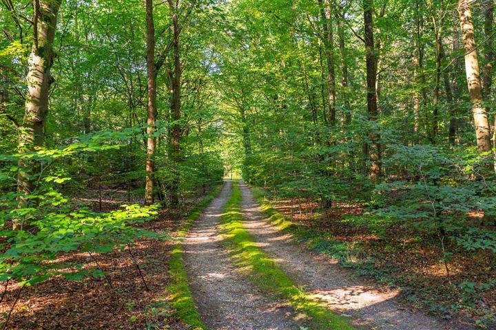 Bekijk foto 68 van Oude Arnhemse Bovenweg 1