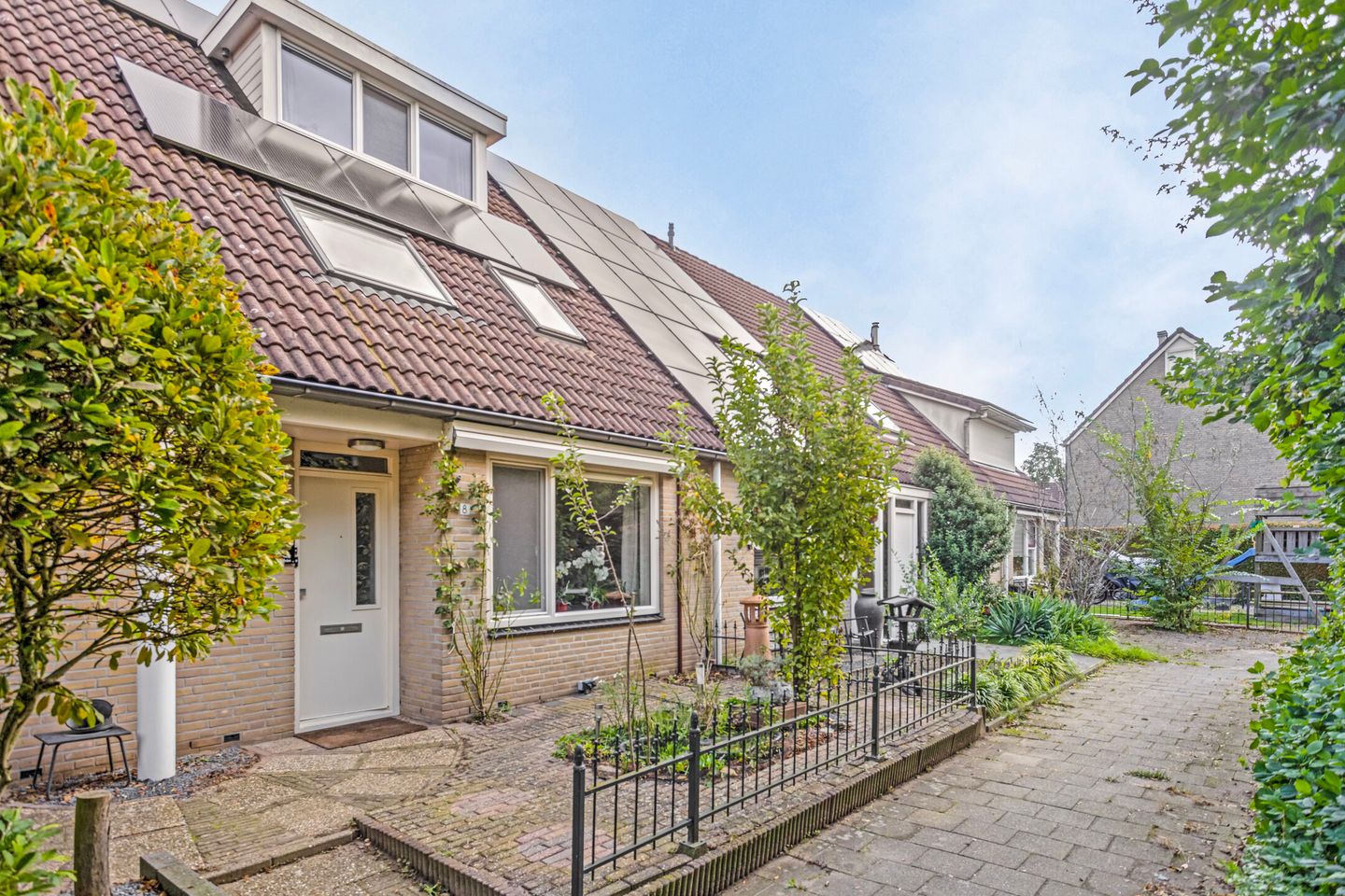 Foto 1 van Zenegroen 8