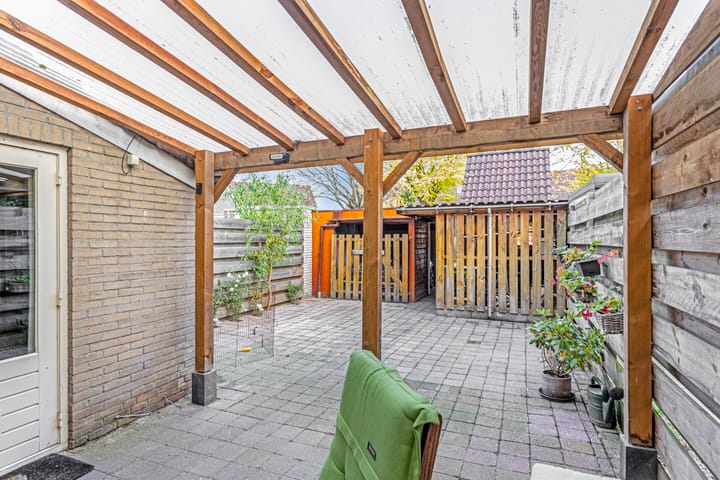 Foto 25 van Zenegroen 8