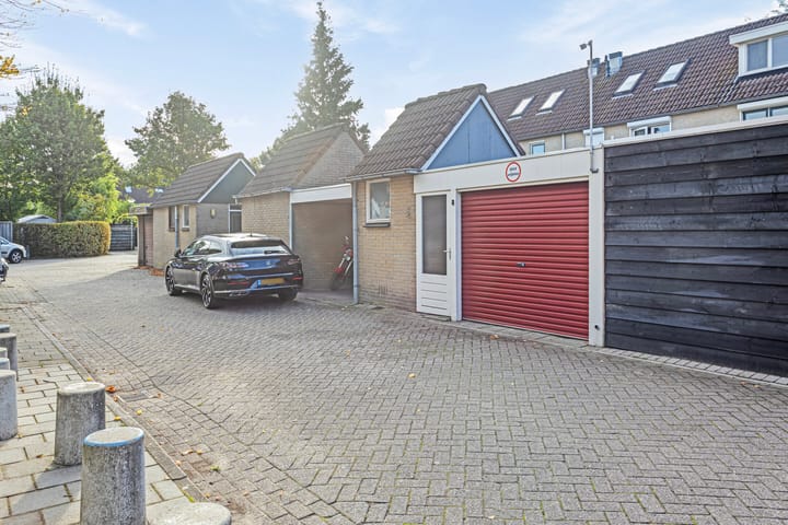 Foto 31 van Zenegroen 8