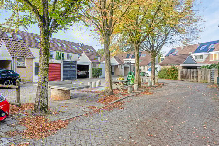 Foto 32 van Zenegroen 8