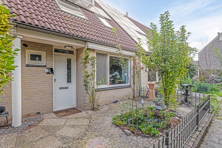 Foto 34 van Zenegroen 8