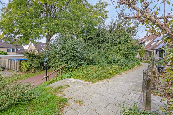 Foto 35 van Zenegroen 8