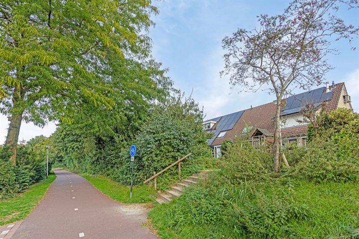 Bekijk foto 37 van Zenegroen 8