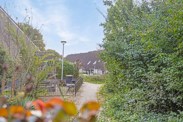 Foto 37 van Zenegroen 8