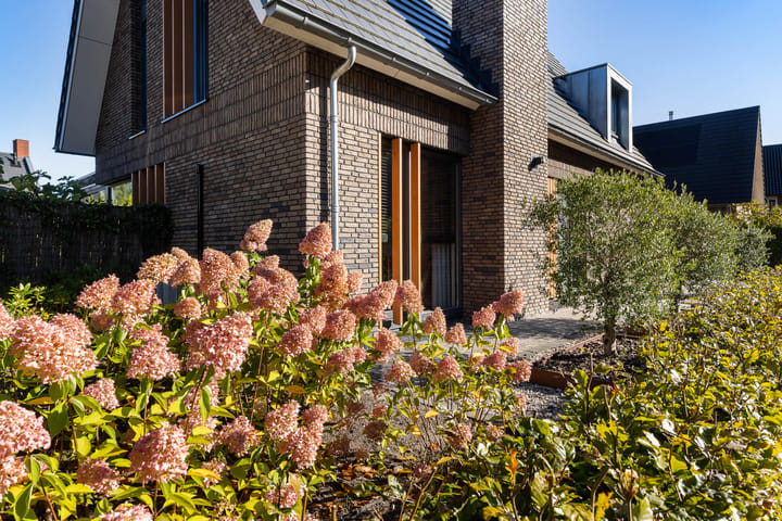 Foto 47 van Schalk Toomstraat 21