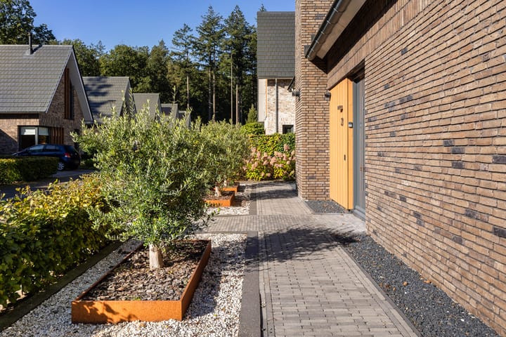 Foto 49 van Schalk Toomstraat 21