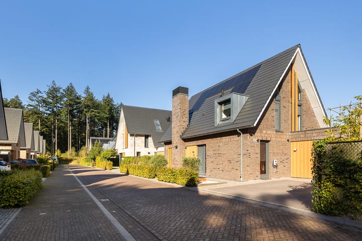 Foto 52 van Schalk Toomstraat 21