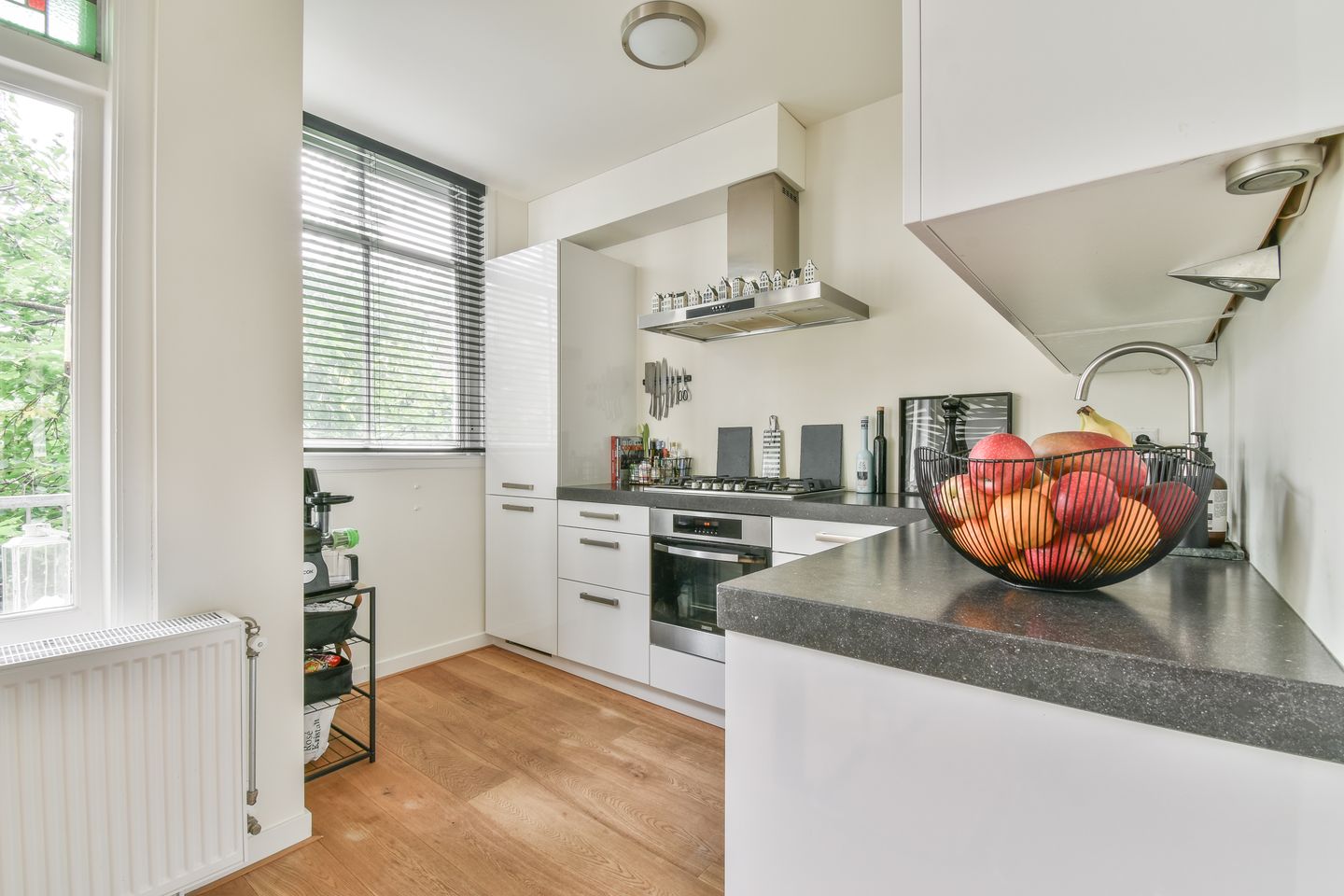 Foto 14 van Galileïplantsoen 100