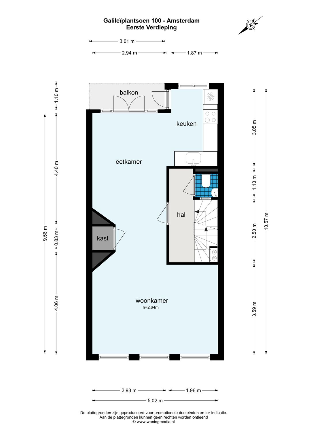 Foto 38 van Galileïplantsoen 100
