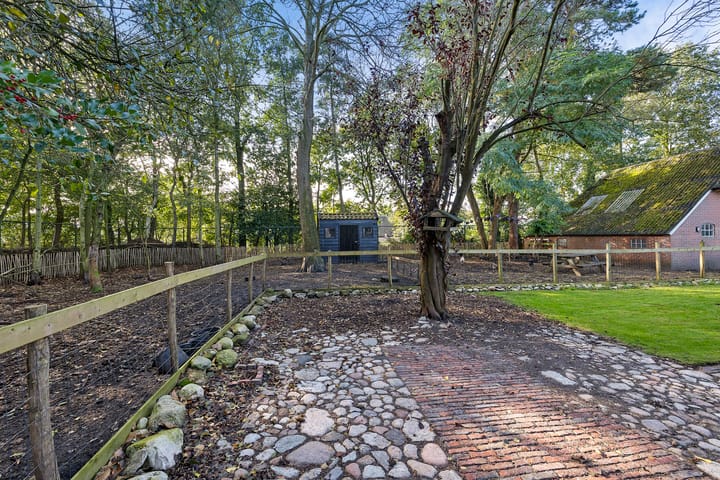 Foto 53 van Oudestreek 54