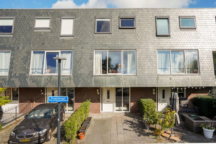 Foto 3 van Priamsingel 45