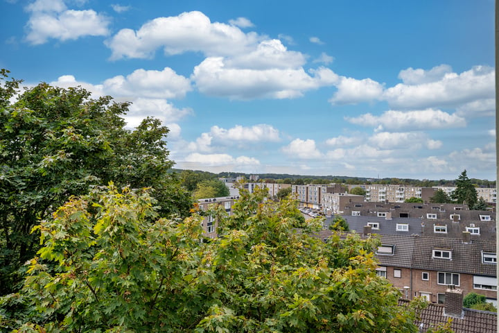 Bekijk foto 25 van Rijnbeekstraat 320