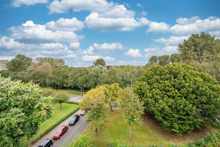 Bekijk foto 29 van Rijnbeekstraat 320